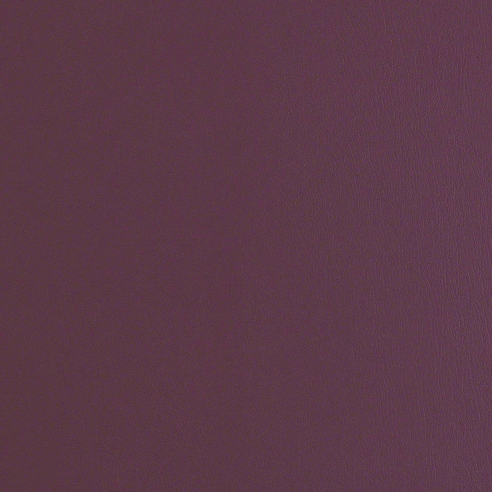 Black Plum